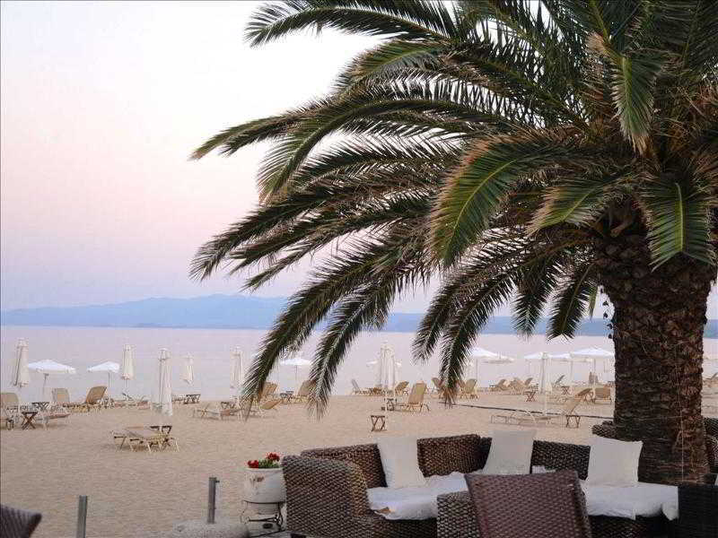 Assa Maris Hotel Chalkidiki Exterior photo